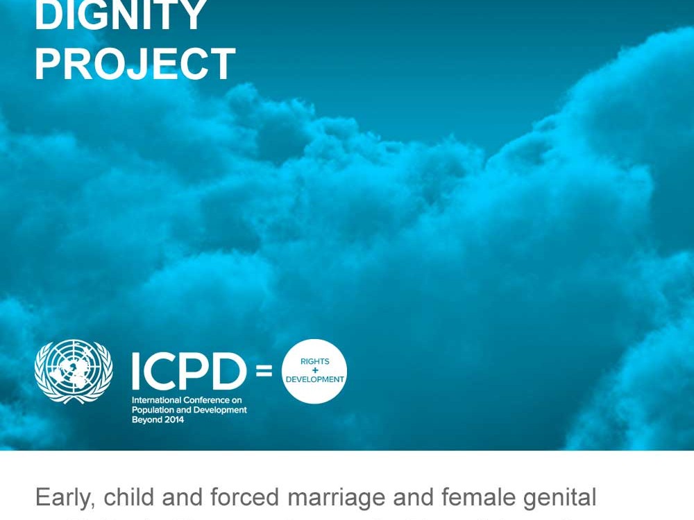 infographic for I.C.P.D. U.N.F.P.A The Dignity Project