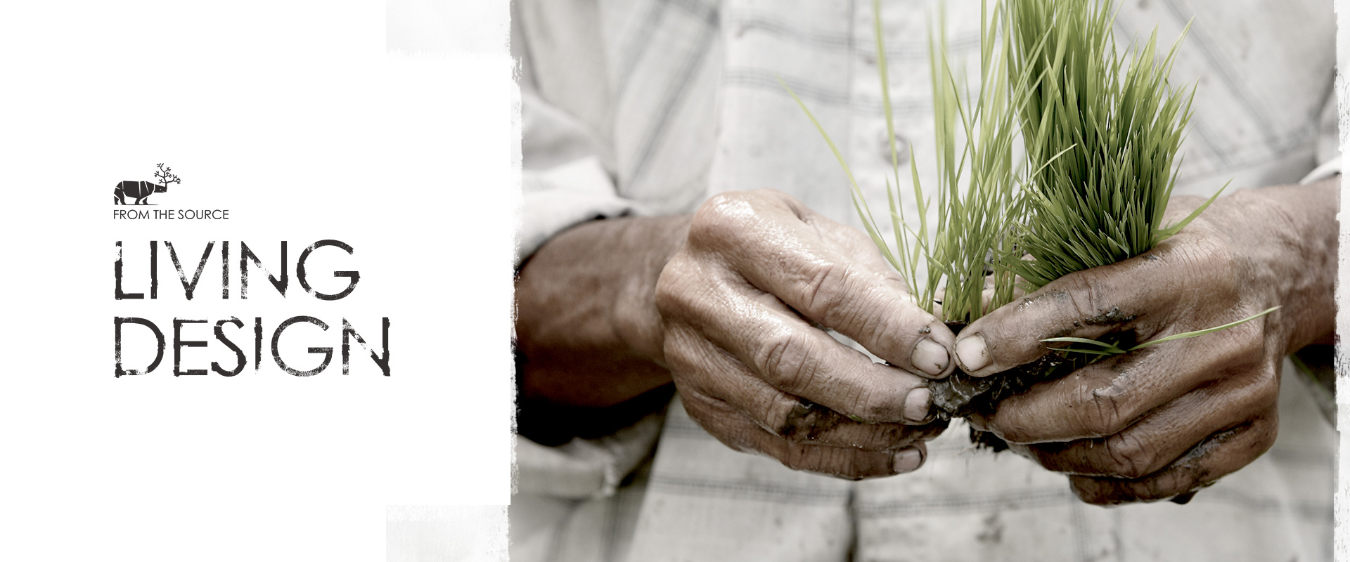 From The Source Promo Photo of hands holding grass