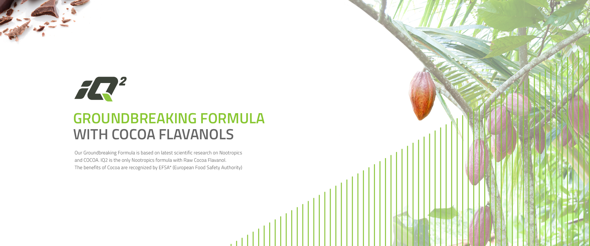 iQ2 Nootropics Promo Image
